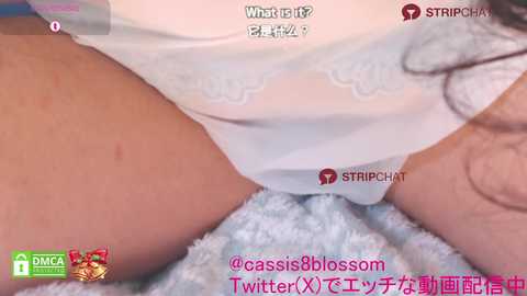 casiojapan @ stripchat on 20241216