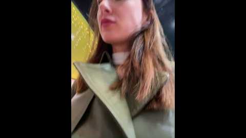 Media: dina_tease Stripchat 2024-12-16 13:23:00