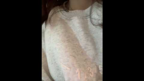 Media: seena_mochi Stripchat 2024-12-16 06:09:00