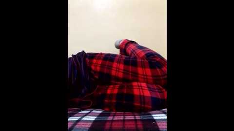 3ahdd @ stripchat on 20241217