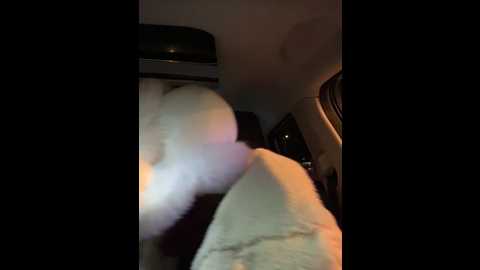 Media: _angelari_ Stripchat 2024-12-17 20:52:00
