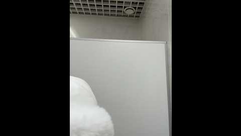 Media: _angelari_ Stripchat 2024-12-17 20:58:00