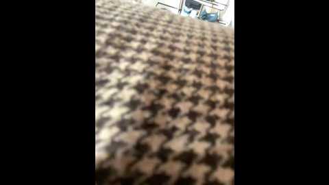 Media: lola_tentatiion Stripchat 2024-12-17 09:44:00
