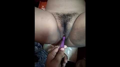 zeevaansari @ stripchat on 20241217