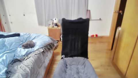 jiajia163 @ stripchat on 20241218