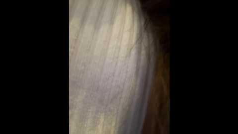 Media: justmilaa Stripchat 2024-12-18 15:14:00
