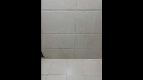 baby_ss @ stripchat on 20250530
