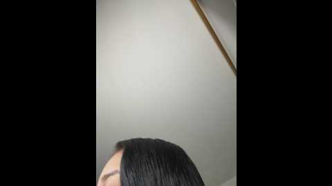 indialatin @ stripchat on 20250530