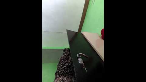 bansari_bhardwaj @ stripchat on 20250531