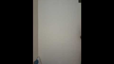 Media: pimange34 Stripchat 2025-05-31 05:12:00