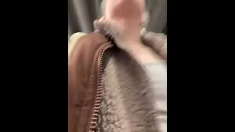 Media: bambi_lu Stripchat 2025-06-01 13:39:00