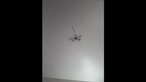 caseycumface @ stripchat on 20250601