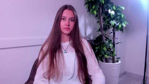 catealdis @ stripchat on 20250601