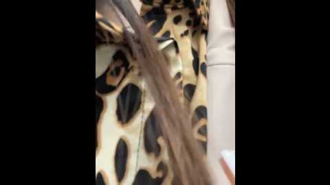 Media: liza_risky Stripchat 2025-06-01 16:50:00