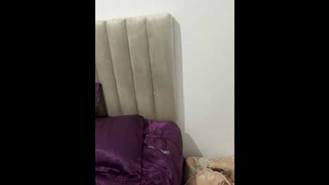 naucha_arab @ stripchat on 20250602