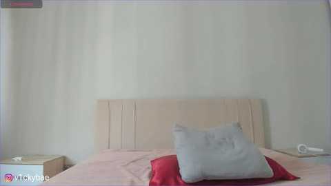 sweety_vikky @ stripchat on 20250602