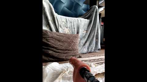 mabel_cindy @ stripchat on 20250603