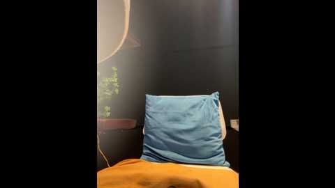 Media: linh_2004 Stripchat 2025-06-04 07:26:00