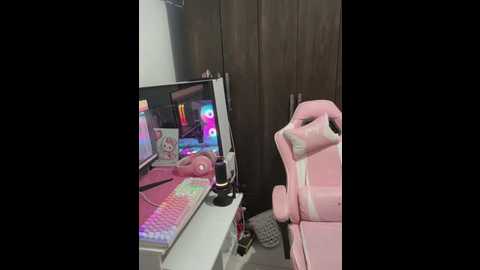 rayssabjj @ stripchat on 20250604