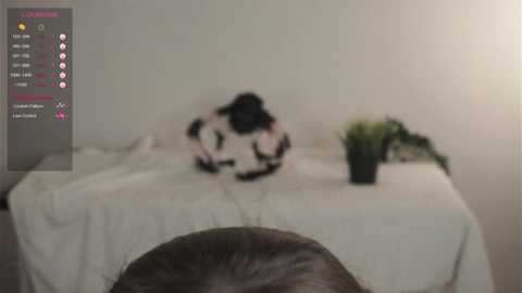 loracrammer @ stripchat on 20250605