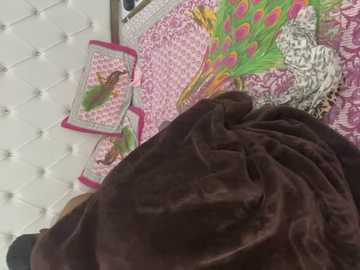 fuck_in25 @ stripchat on 20250606