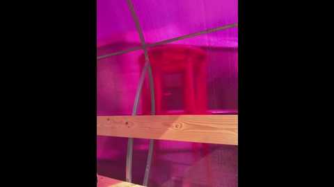Media: liza_risky Stripchat 2025-06-06 08:59:00