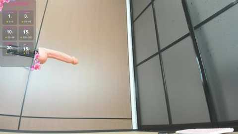 mikio_san @ stripchat on 20250606