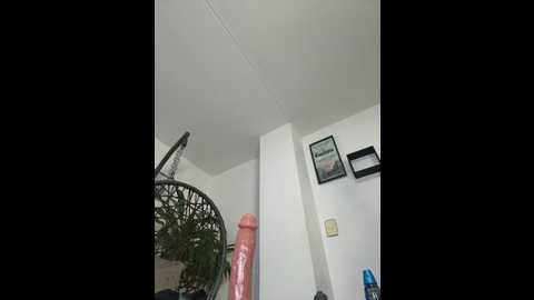 jamilaross @ stripchat on 20250608