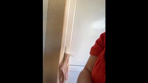 ladywithbigass @ stripchat on 20250608