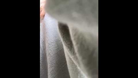 Media: oh_anna Stripchat 2025-06-08 05:13:00