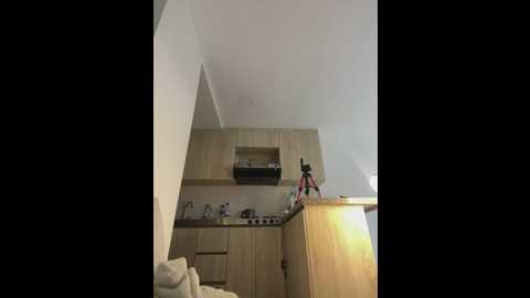 nicolecut @ stripchat on 20250609