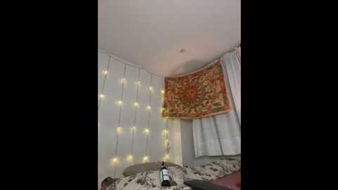antoniart_ @ stripchat on 20250610