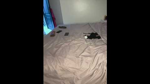 caroline_one @ stripchat on 20250610