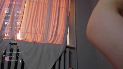 elis_fox @ stripchat on 20250610