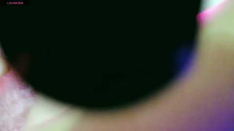 elliott_white @ stripchat on 20250610