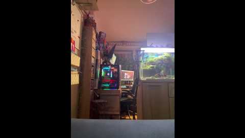Media: sexymelli18 Stripchat 2025-06-11 20:31:00