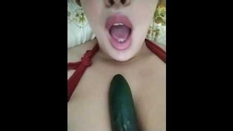 hnani1aarbik @ stripchat on 20250612