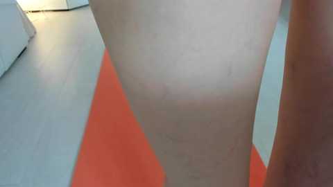 mollystory @ stripchat on 20250612