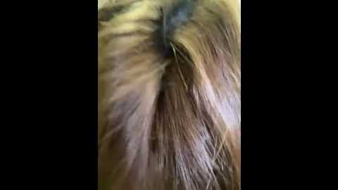 Media: south_carolina Stripchat 2025-06-12 12:35:00