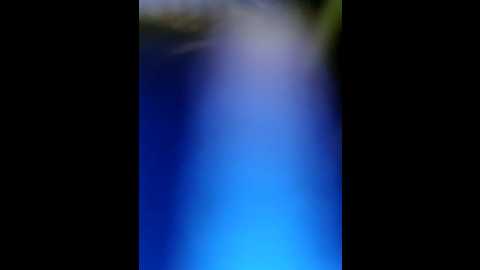 _sahar @ stripchat on 20250613