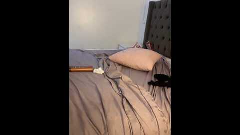 saraone_arab @ stripchat on 20250613