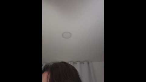aryrosee @ stripchat on 20250614