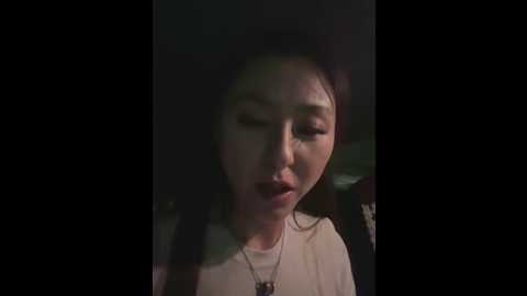 xiaobei_ahb @ stripchat on 20250614