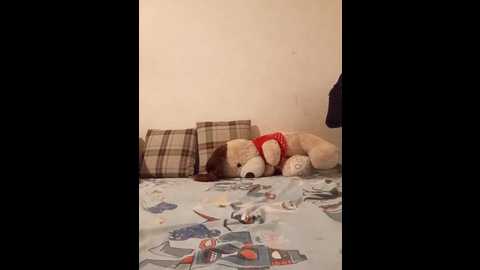 alex_zarras @ stripchat on 20250615