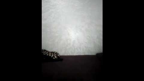arabic_loka @ stripchat on 20250616