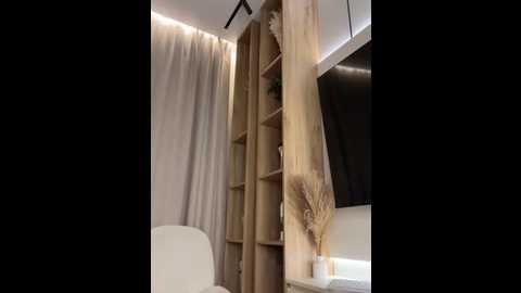 eva_m1racle_ @ stripchat on 20250616