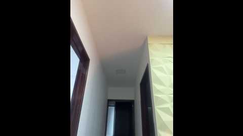 brendacrean @ stripchat on 20250617