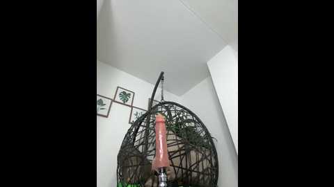 jamilaross @ stripchat on 20250617