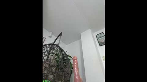 jamilaross @ stripchat on 20250617