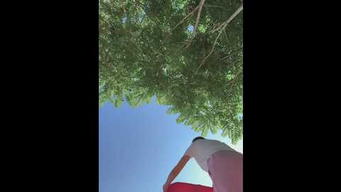 jessyrey @ stripchat on 20250617